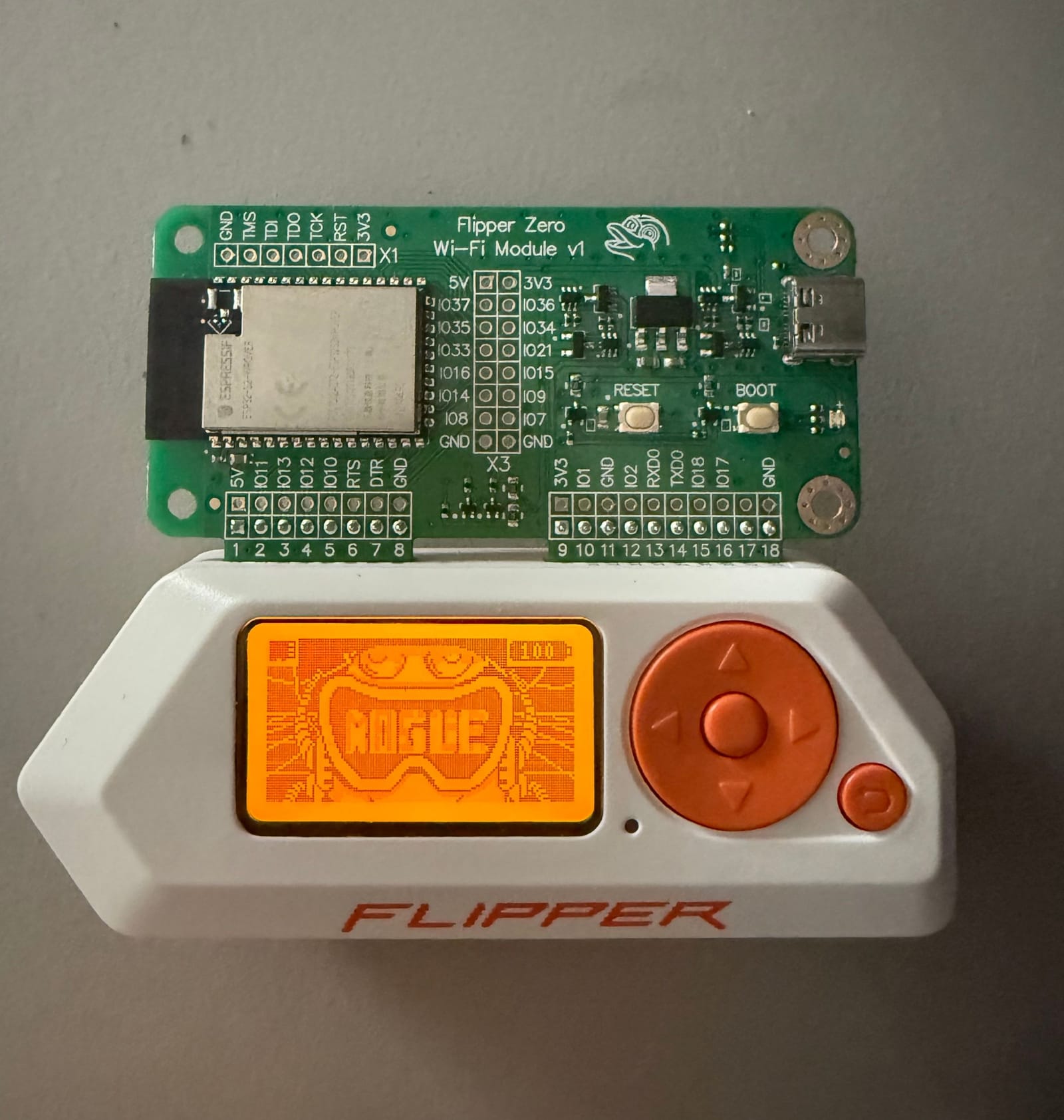 Flashing the Flipper Zero and Dev Board: RogueMaster, Marauder, and First Wireless Tests